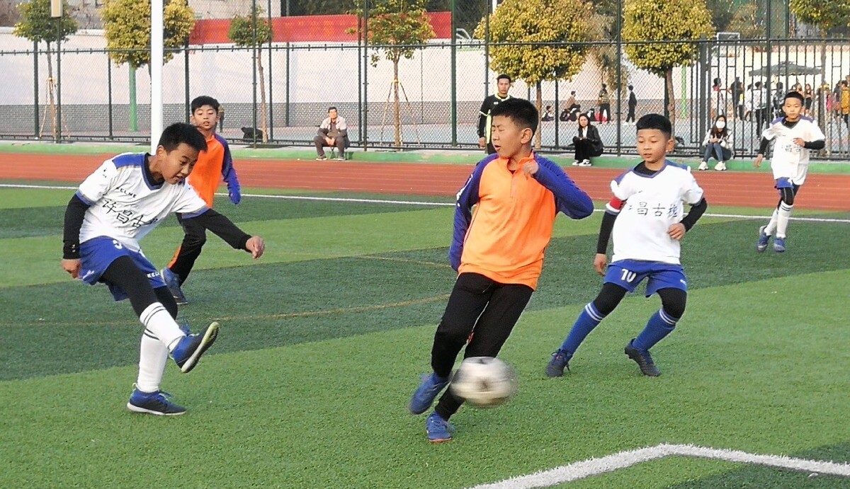 综扬停赛4 综扬停赛4