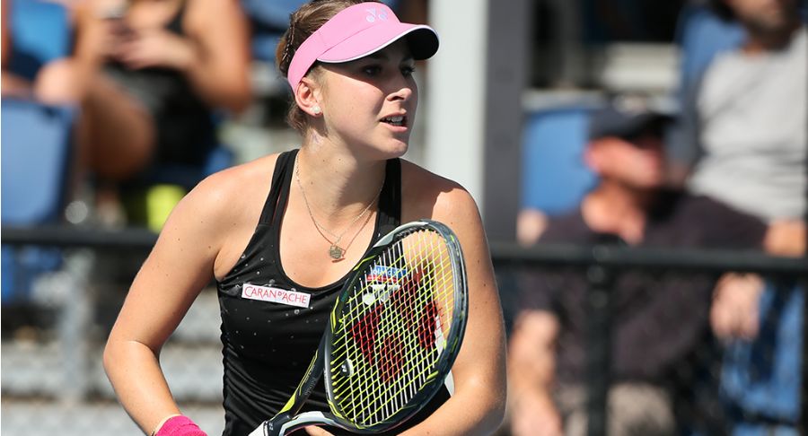 天然窗口 天然窗口